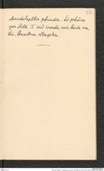 Seite 84, Tagebuch "Umgebung von Krems | Scheibenhof | Stein-Neol. (hinten) (NHMW-PRAE-BBB-39)